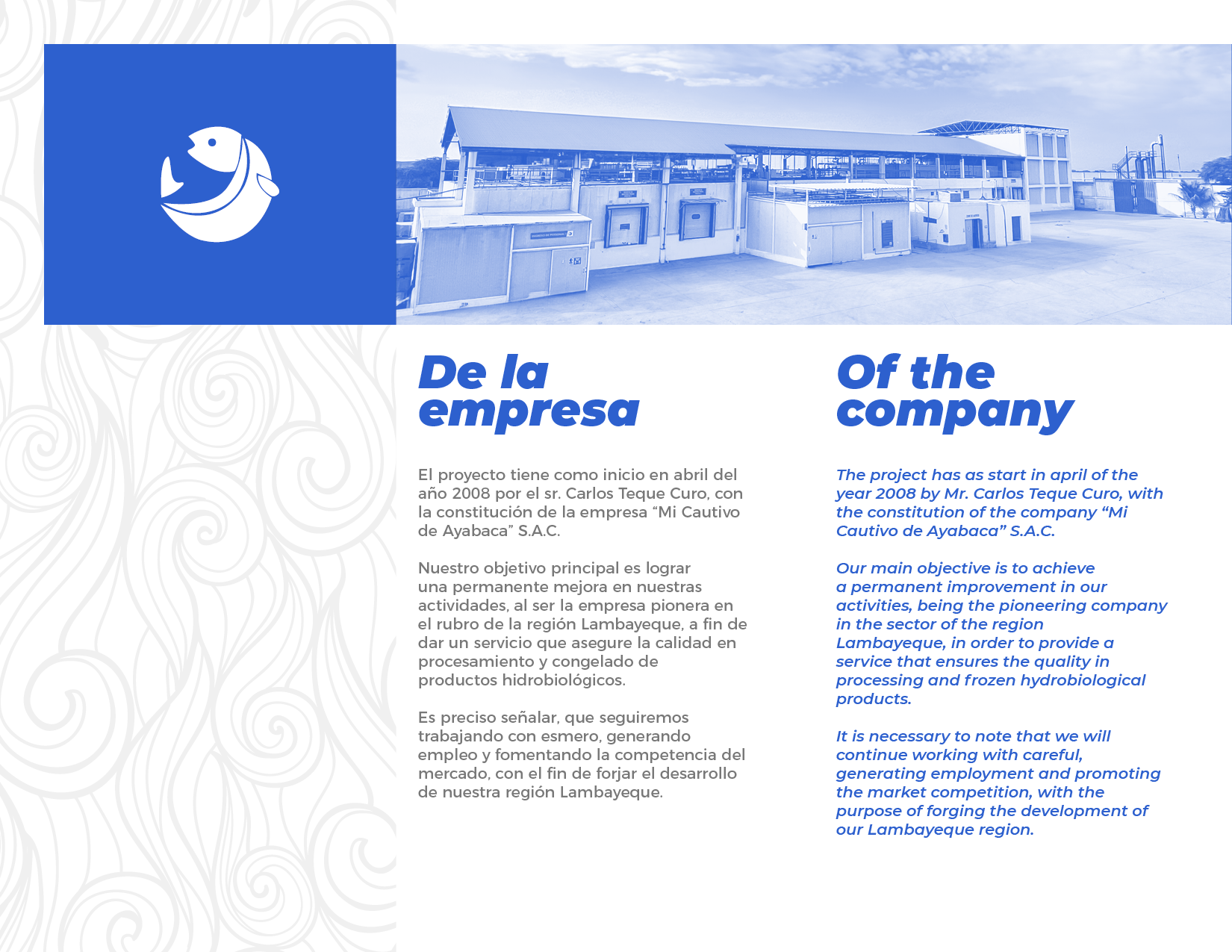 brochure 1